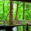 【軽井沢】旅先のオアシス♡ほっと心休まるレトロ喫茶7選