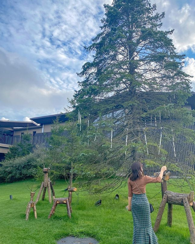 mi_4sonさんの写真 / 2