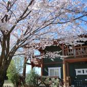 旅宿ラッシー（熊本県 コテージ・ロッジ・一棟貸） / 3