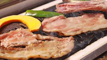 バーベキュー / ピクニック エリア / 11