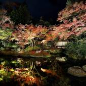 ザ・プリンス 京都宝ヶ池、オートグラフコレクション（京都府 シティホテル） / 5
