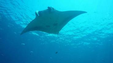 フィットネス設備 / 3