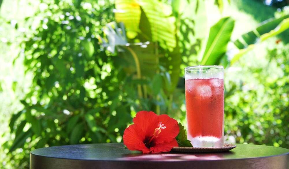 ティータイム / 5