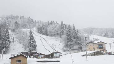 スキー ヒル / 1