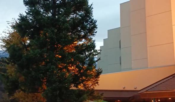 白馬姫川温泉 北アルプスを一望 ホテル白馬（長野県 リゾートホテル） / 1