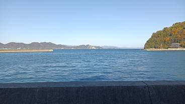 ビーチ / オーシャン ビュー / 5