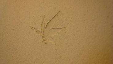 内装の詳細 / 14