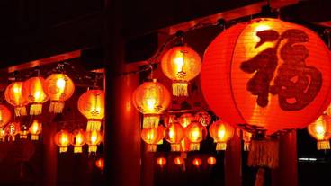 施設からの眺望 / 31