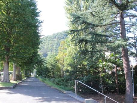 山形県職員会館 あこや会館 / 4