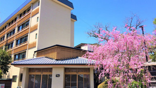 和室　お部屋おまかせ 禁煙