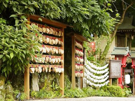 箱根湯本温泉 天成園 / 5