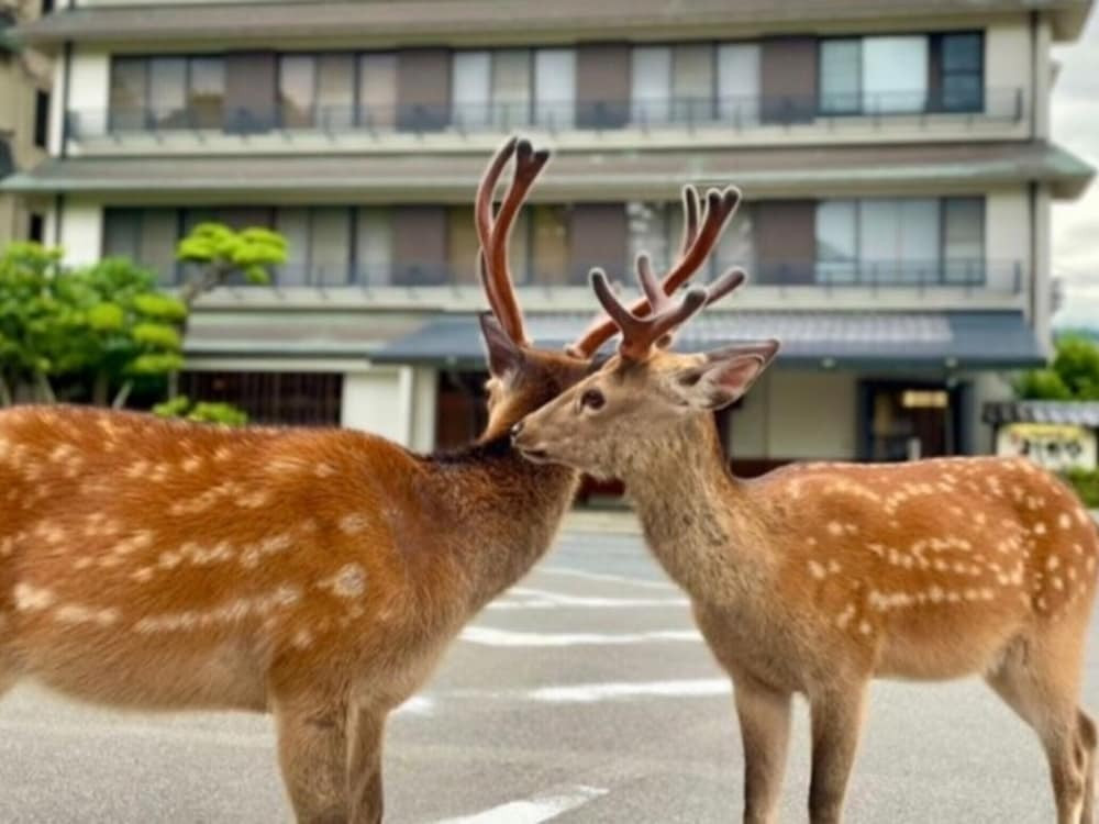 ランド ビュー