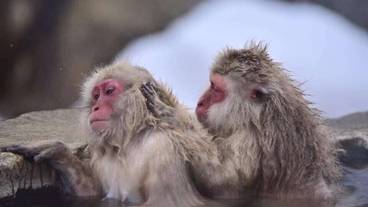 観光スポット / 22