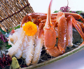 「日本料理 松江 和らく」 料理 45738404 