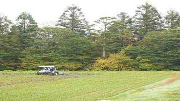 施設からの眺望 / 31