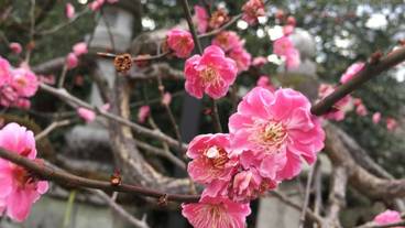 施設からの眺望 / 9