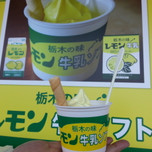 栃木・佐野ラーメンを食べた後に寄りたい、甘いものは別腹9選！