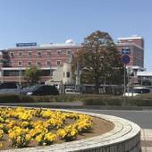 竜ヶ崎プラザホテル新館（茨城県 ビジネスホテル） / 3