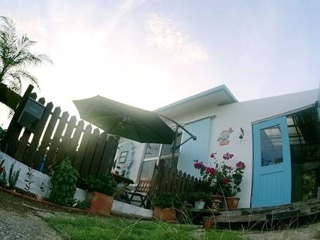 オキナワン スイートホーム T-8 / 2