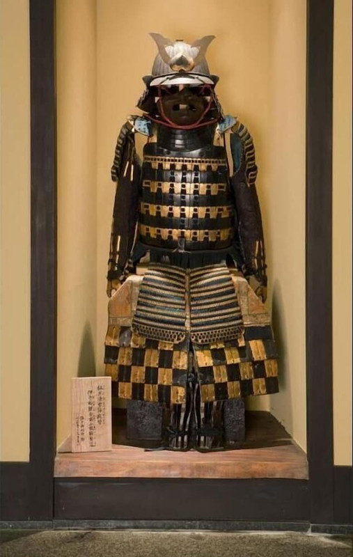 フィットネス設備