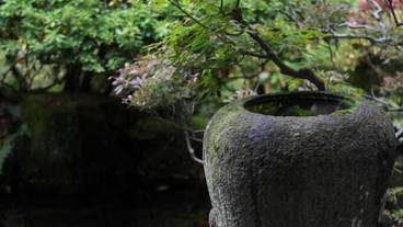 施設の敷地 / 27