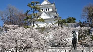 観光スポット / 3