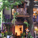 自然に癒される♡緑が感じられる東京のカフェ7選