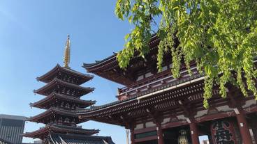 観光スポット / 10