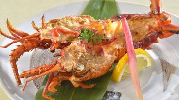 食事・飲み物 / 20