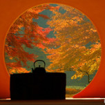 桜やあじさい、紅葉…北鎌倉「明月院」で季節に向き合う一人旅