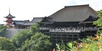 一泊二日の弾丸旅行♪「京都」をフルで満喫するおすすめコース