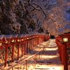 【京都】寒さの中でしか出合えない景色にうっとり。冬ならではの観光スポット9選