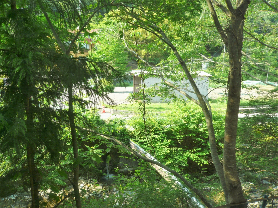 小川と深い木々です…