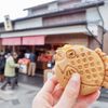 出雲大社参拝の後に♪女子旅で巡りたい周辺観光スポット11選
