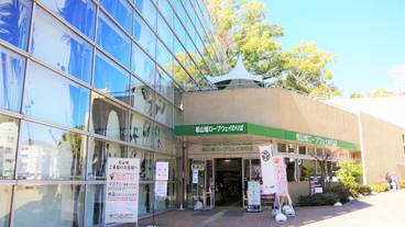 観光スポット / 31