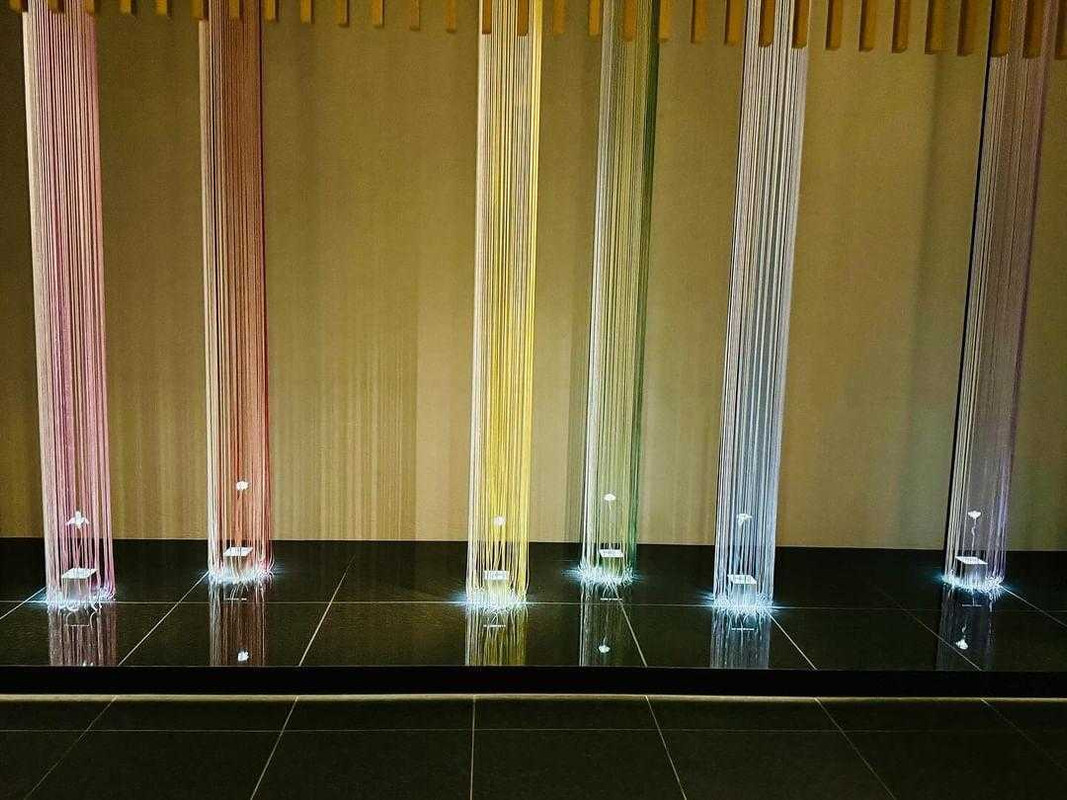 pipipi_5010さんの写真 / 2