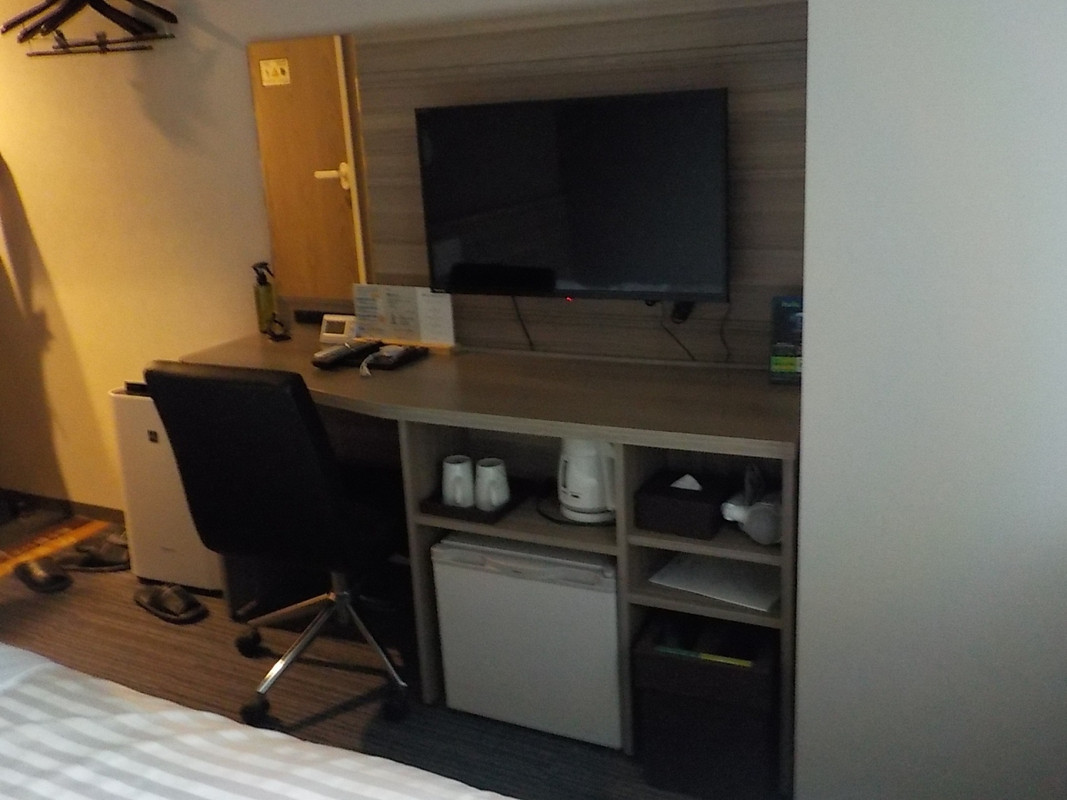 部屋の中の様子(テレビ・冷蔵庫など)です。