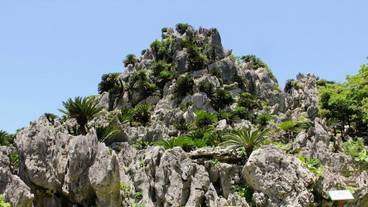 観光スポット / 5