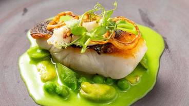 食事・飲み物 / 6