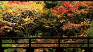 ランド ビュー / 18