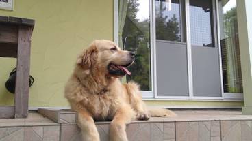 テラス / パティオ / 6