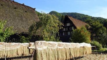 観光スポット / 34