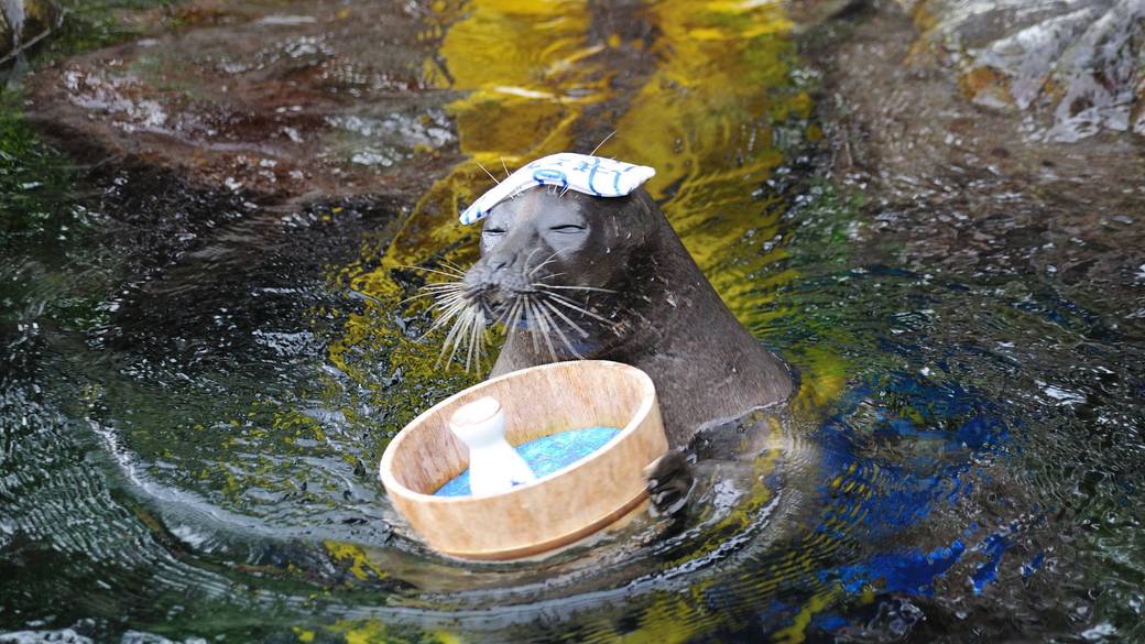 箱根園水族館 / 2