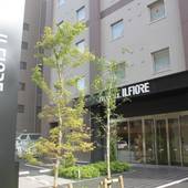 ホテルイルフィオーレ葛西（千葉県 ビジネスホテル） / 4