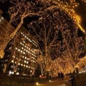 ホテル定禅寺（宮城県 ビジネスホテル） / 5