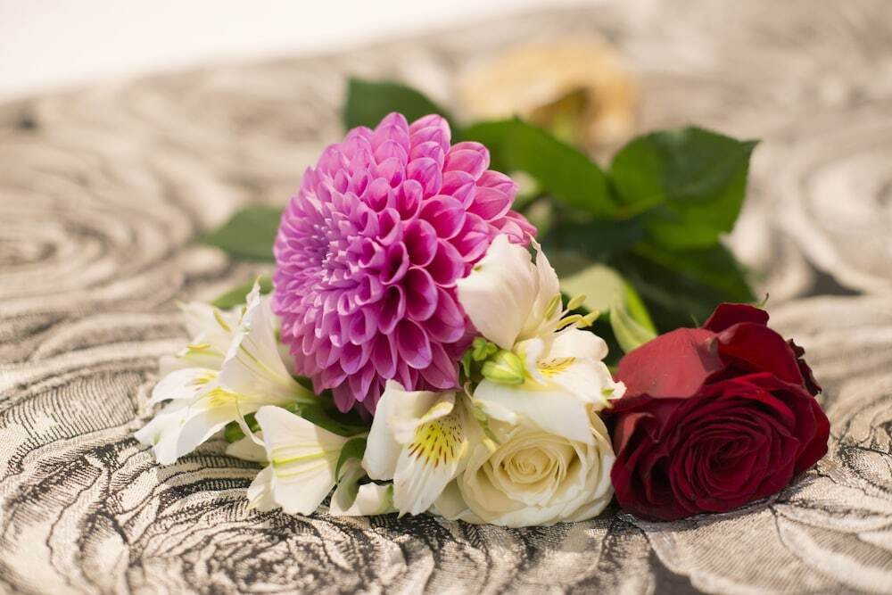 客室の設備とサービス