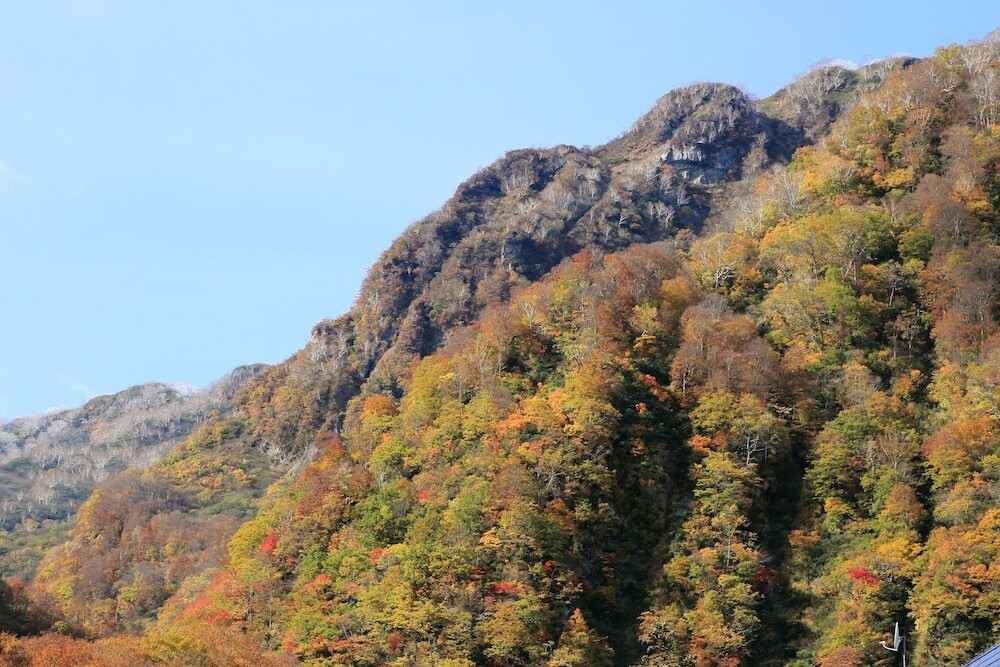 部屋からの景観