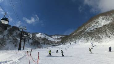 スノー スポーツとスキー / 5