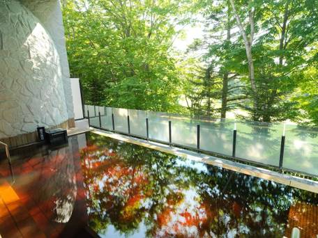 札幌北広島クラッセホテル / 2