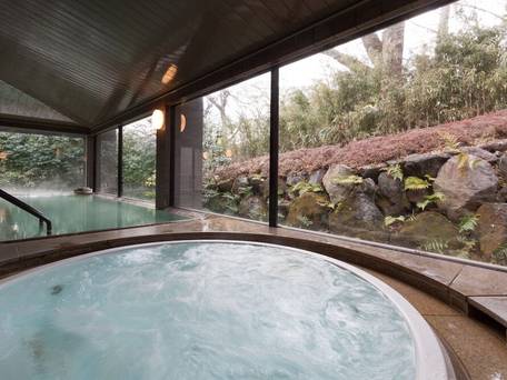 仙石原温泉 小田急 箱根ハイランドホテル / 2